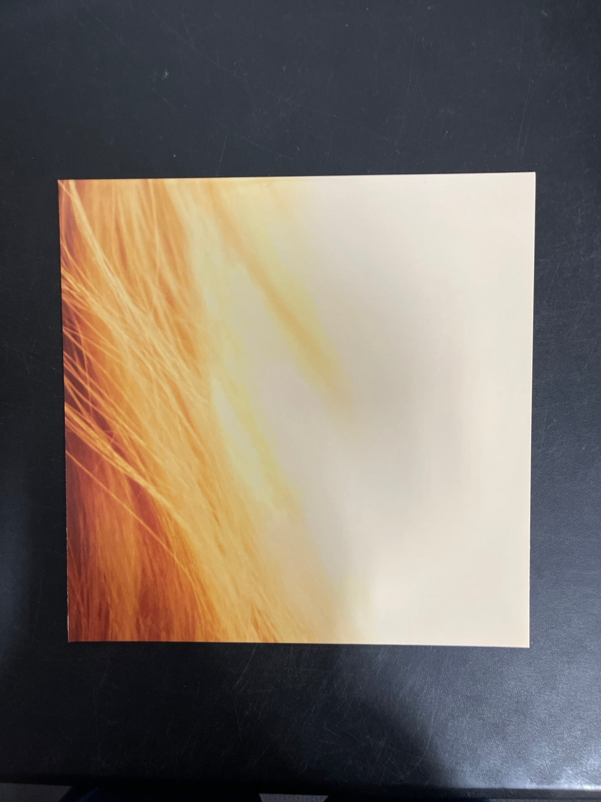 MISC_4 - Taylor Swift - The Life of a ... LE 180gm Pink Yellow Vinyl USED NOT TESTED