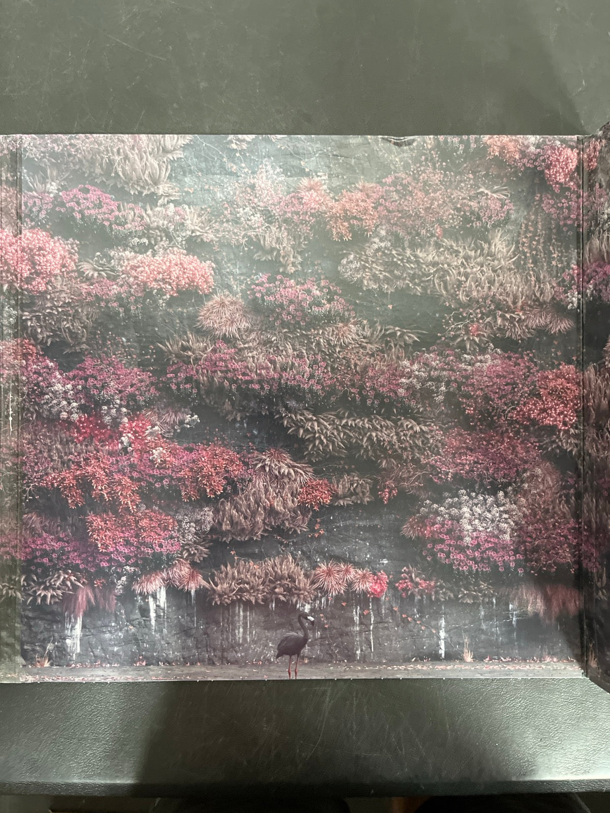 MISC_4 - Sleep Token - Even In Arcadia Black Vinyl USED NOT TESTED