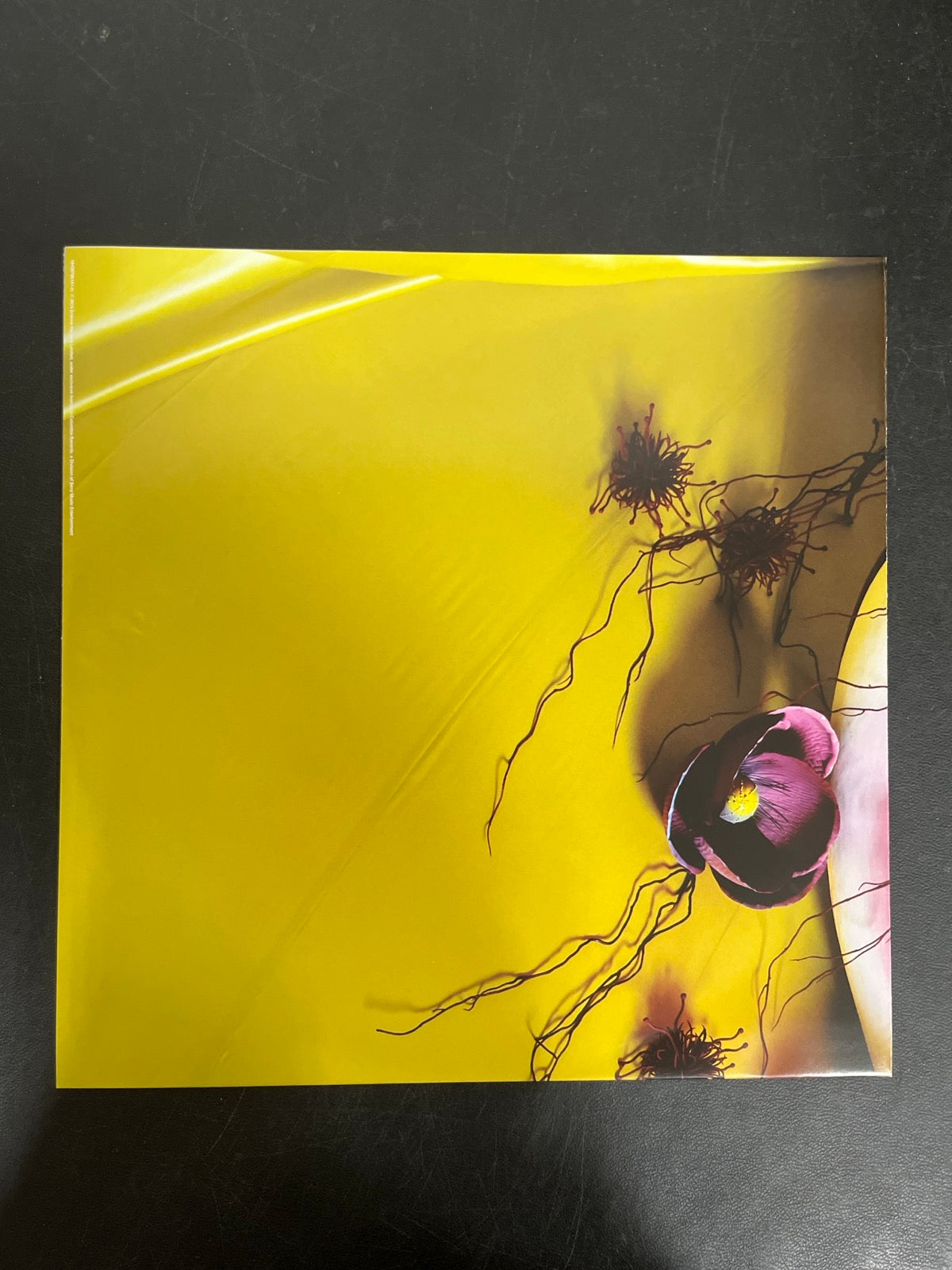 MISC_4 - Harry Styles - Fine Line LE Black & White Vinyl USED NOT TESTED