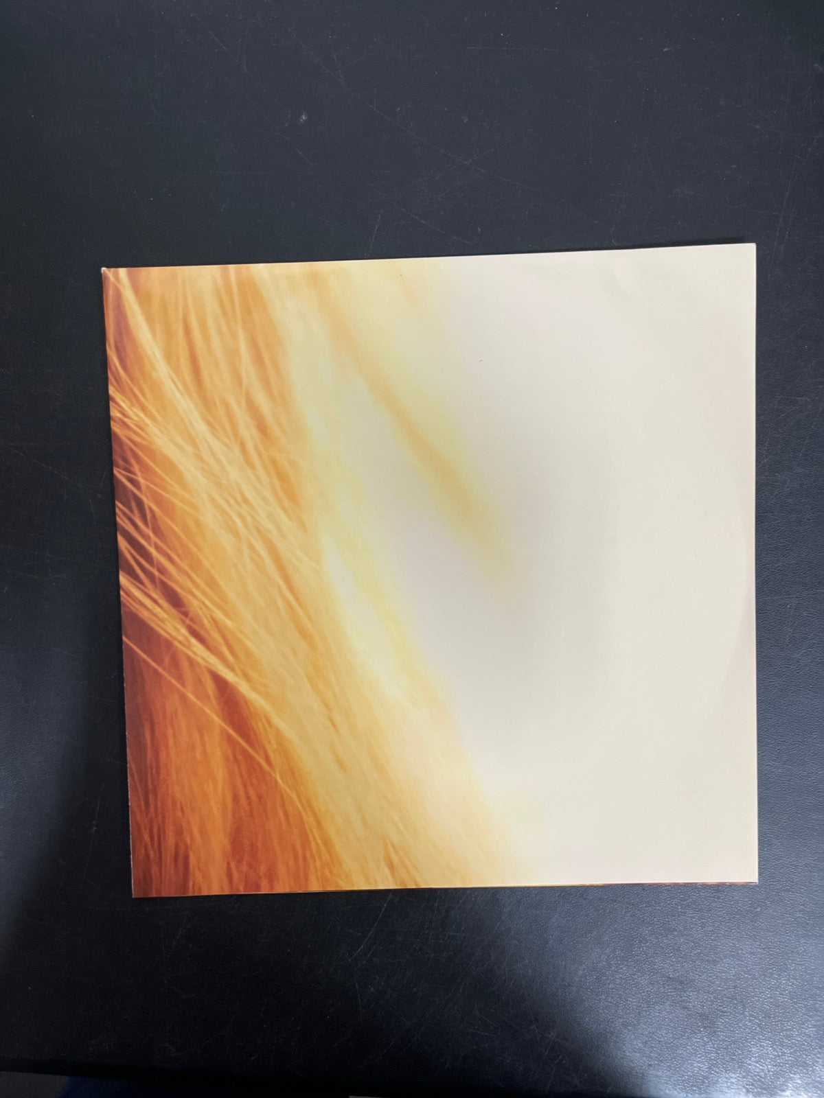 MISC_4 - Taylor Swift - The Life of a ... LE 180gm Pink Yellow Vinyl USED NOT TESTED