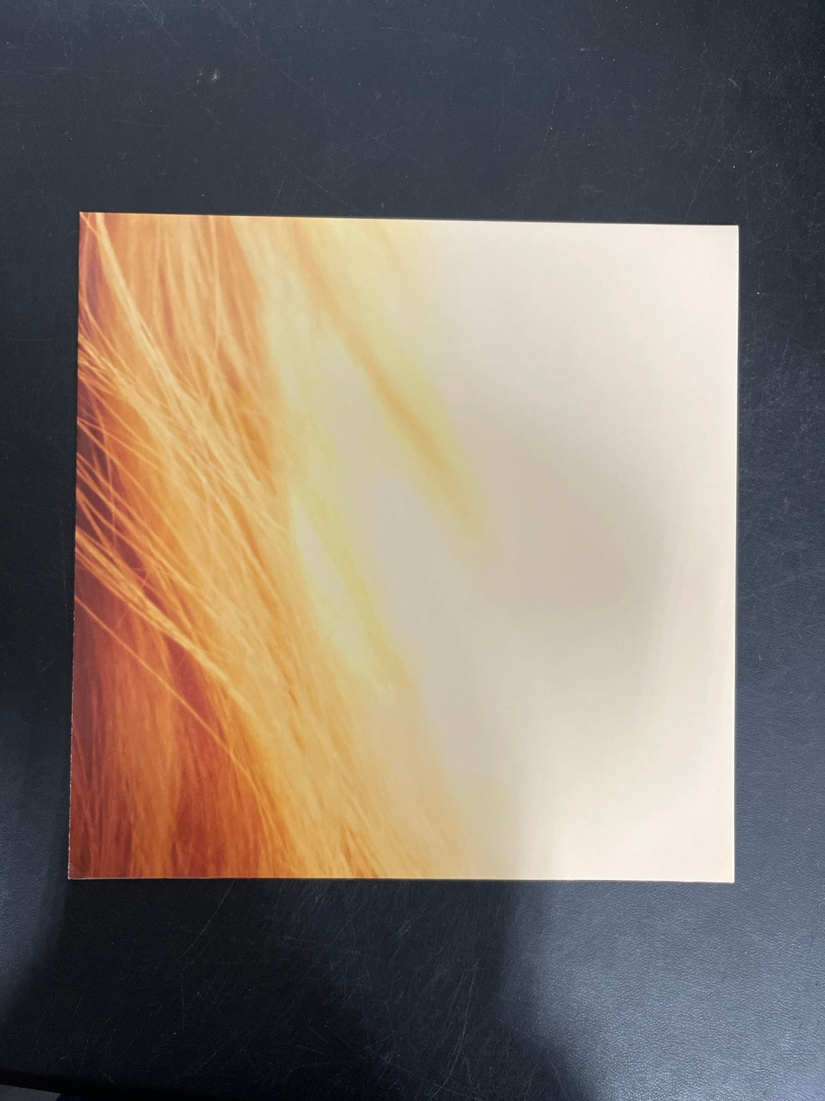 MISC_4 - Taylor Swift - The Life of a ... LE Pink Yellow Vinyl USED NOT TESTED