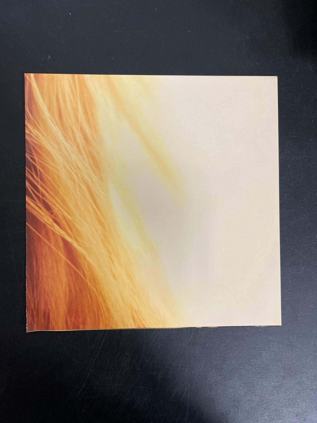 MISC_4 - Taylor Swift - The Life of a ... LE 180gm Pink Yellow Vinyl USED NOT TESTED