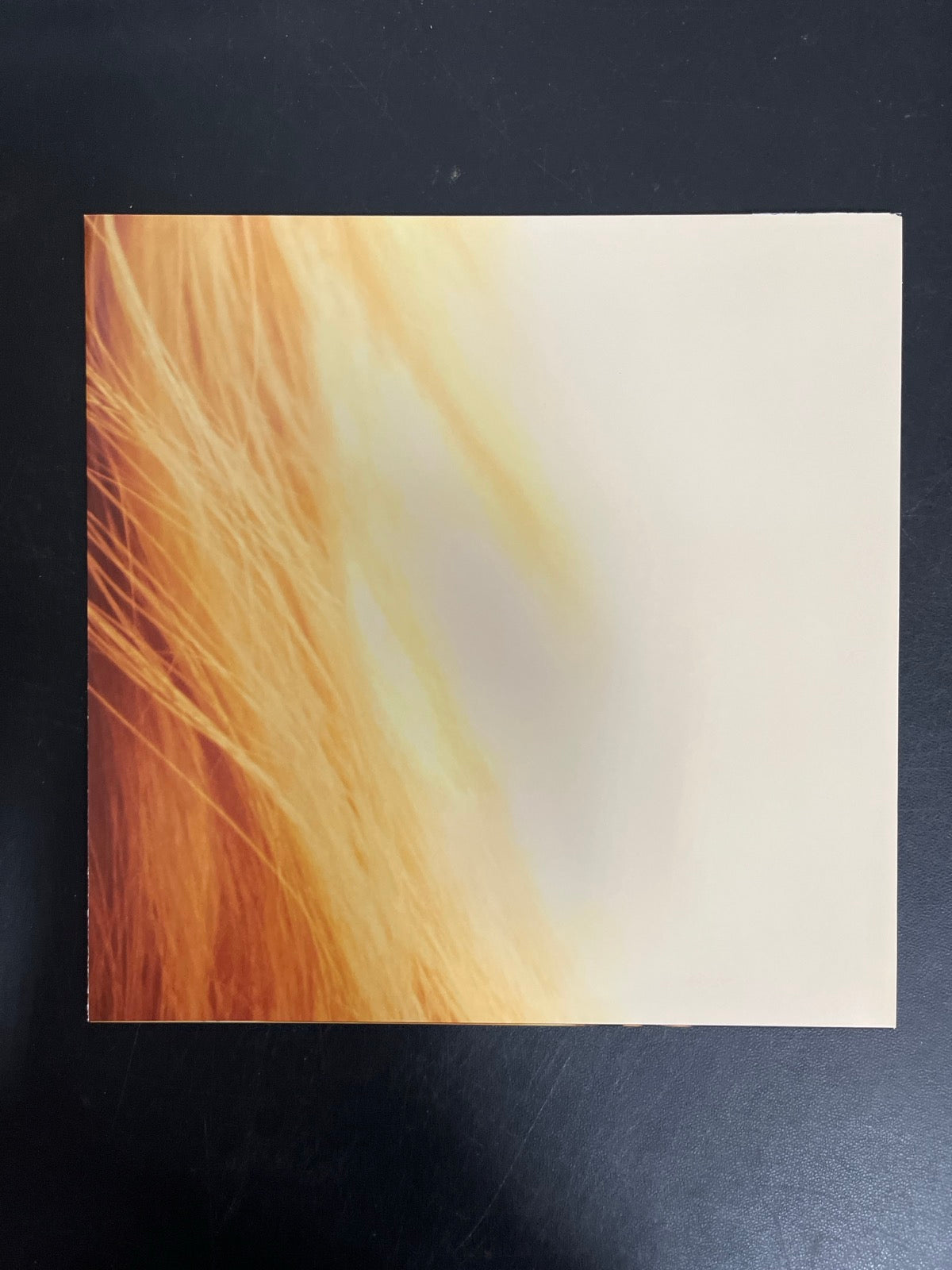 MISC_4 - Taylor Swift - The Life of a ... LE 180gm Pink Yellow Vinyl USED NOT TESTED