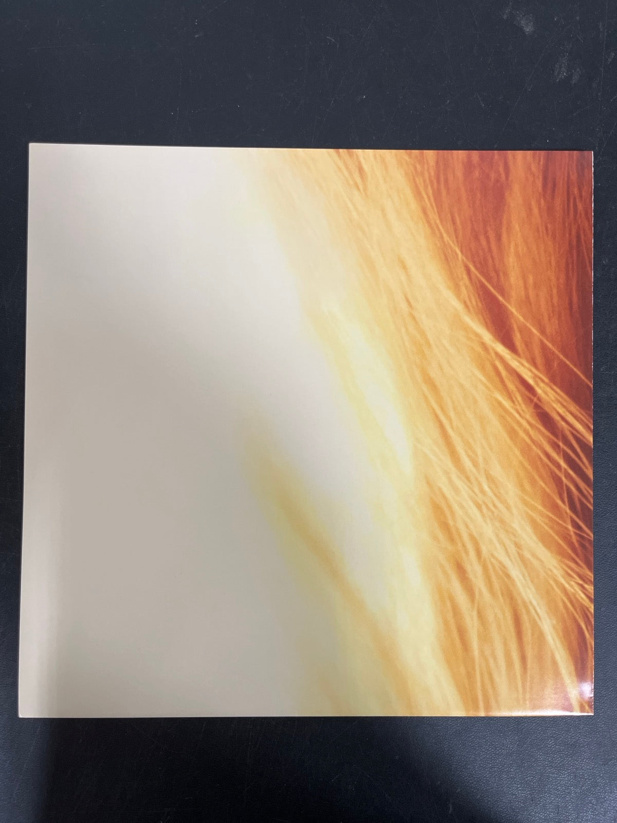 MISC_4 - Taylor Swift - The Life of a ... LE 180gm Pink Yellow Vinyl USED NOT TESTED