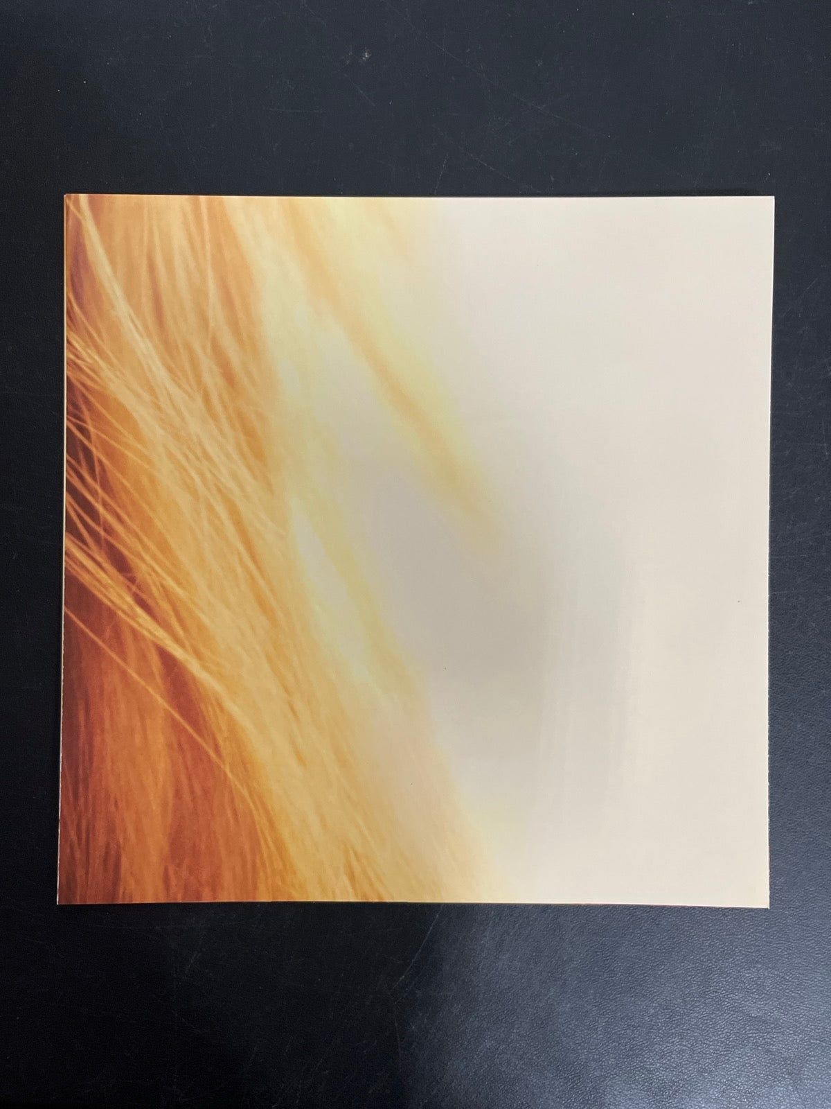MISC_4 - Taylor Swift - The Life of a ... LE 180gm Pink Yellow Vinyl USED NOT TESTED