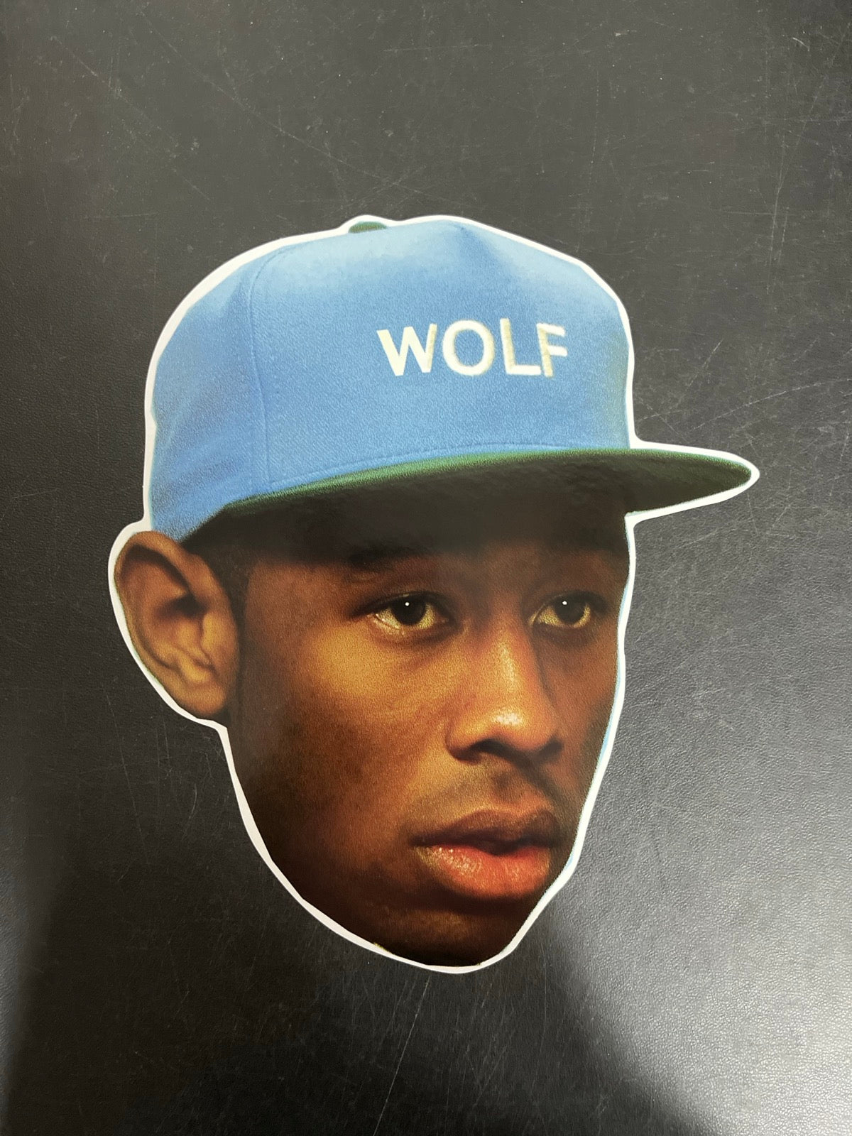 MISC_5 - Tyler, The Creator - Wolf LE Pink Vinyl USED NOT TESTED