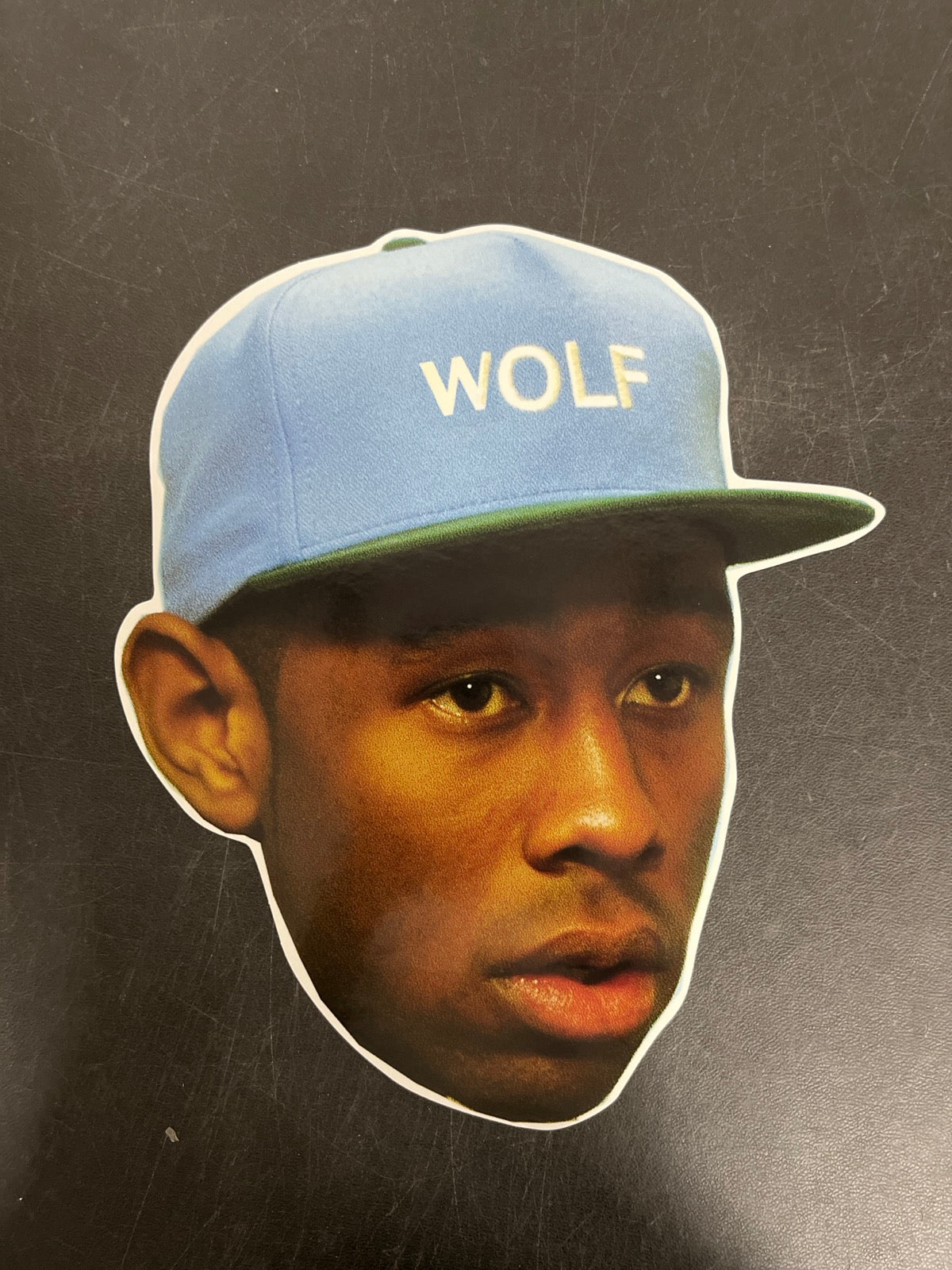 MISC_5 - Tyler, The Creator - Wolf LE Pink Vinyl USED NOT TESTED