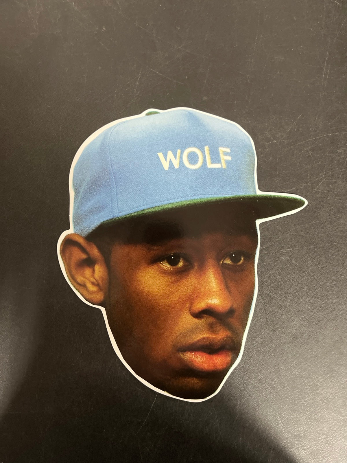 MISC_5 - Tyler, The Creator - Wolf LE Pink Vinyl USED NOT TESTED