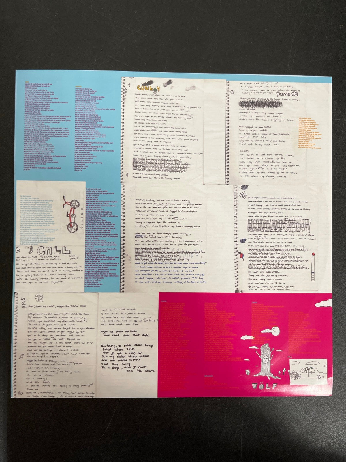 SLEEVE_1B - Tyler, The Creator - Wolf LE Pink Vinyl USED NOT TESTED