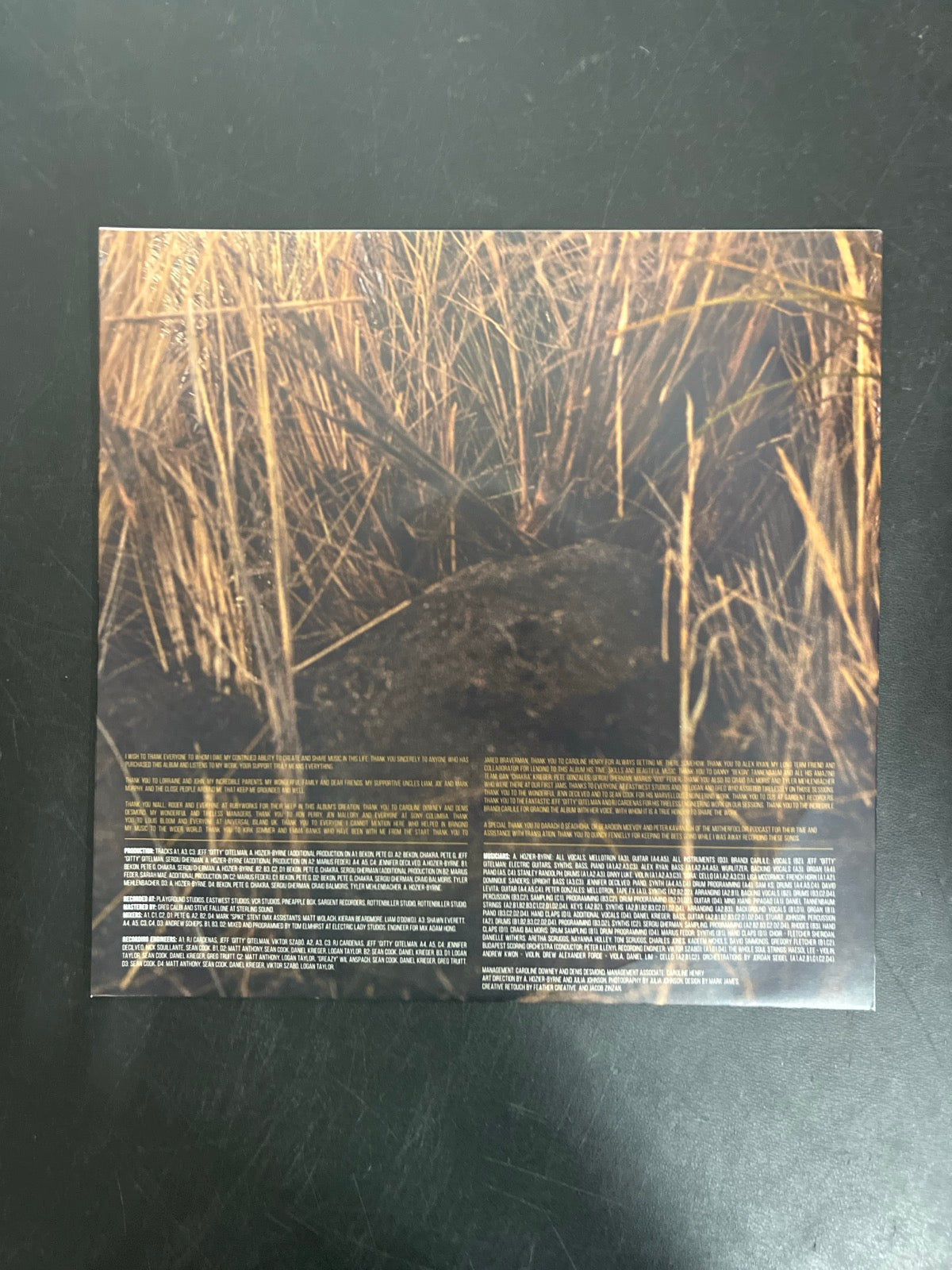 SLEEVE_1B - Hozier - Unreal Unearth Target Exclusive Vinyl USED NOT TESTED