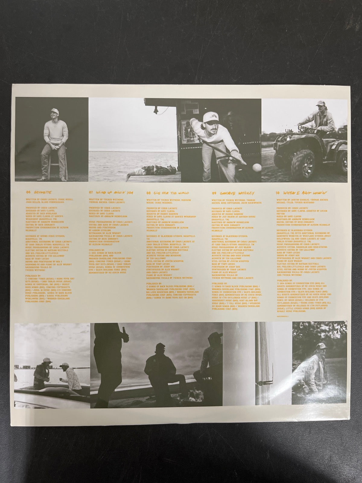 SLEEVE_1B - Tucker Wetmore - What Not To LE Brown Vinyl USED NOT TESTED