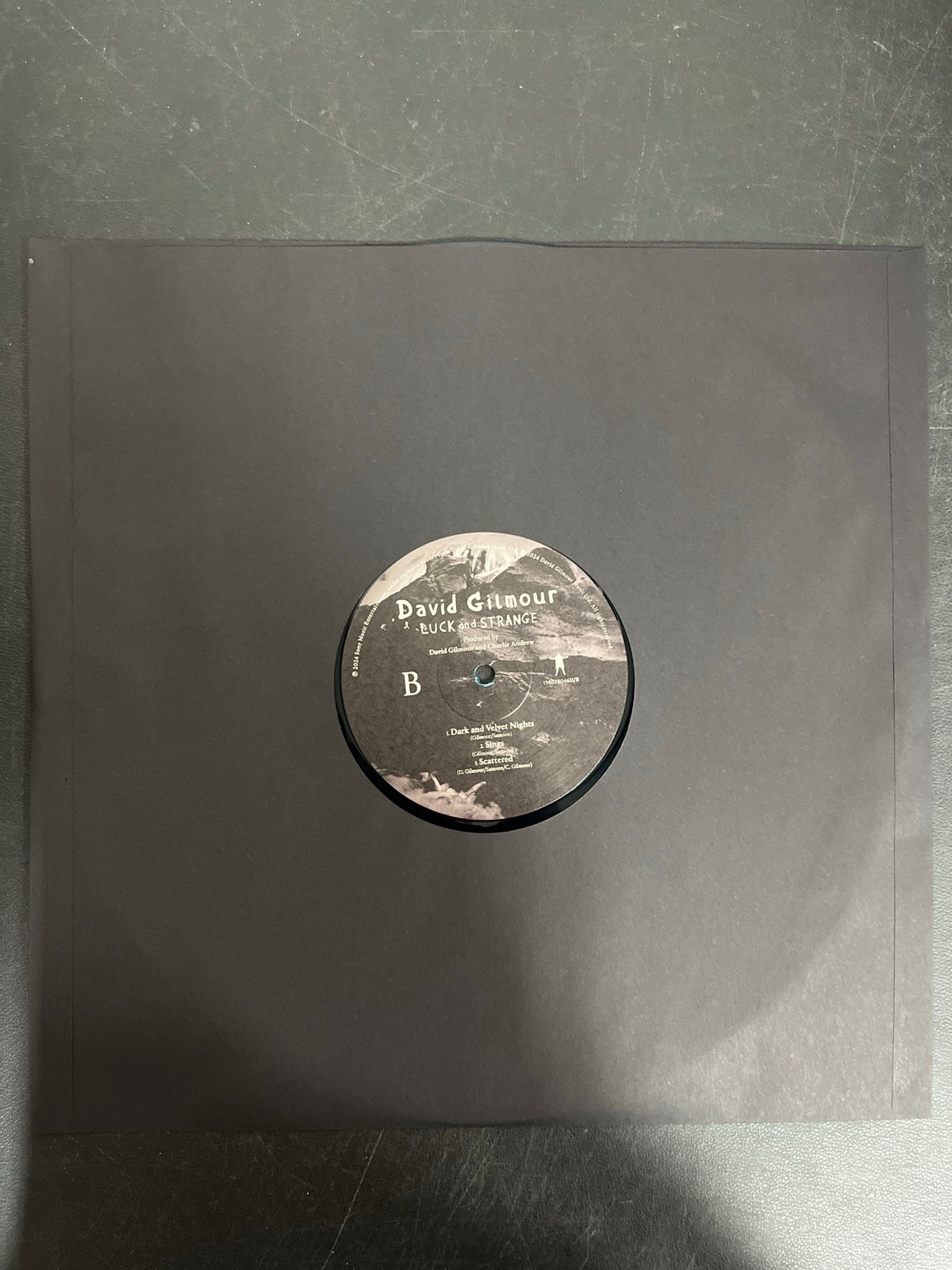 SLEEVE_1B - David Gilmour - Luck and S... Target Exclusive Blue Vinyl USED NOT TESTED
