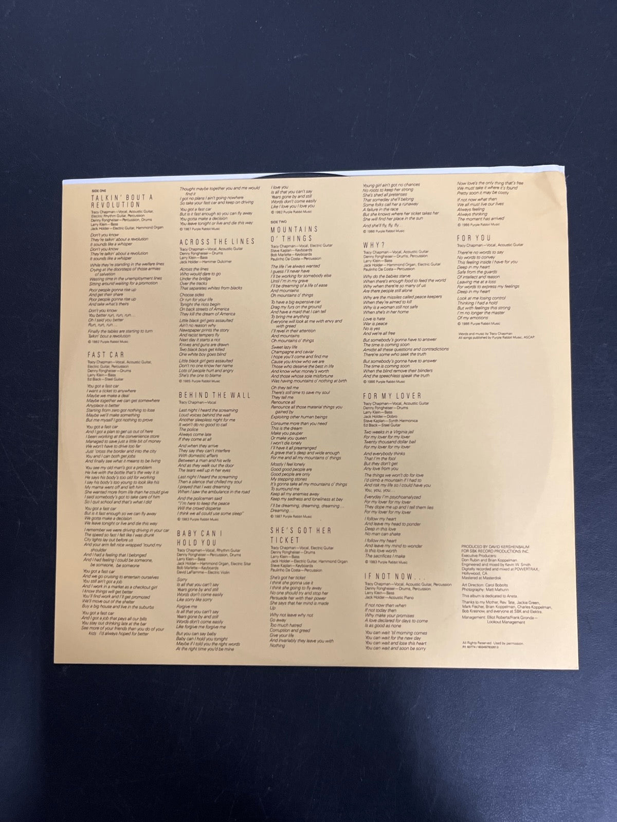SLEEVE_1B - Chapman - Tracy Chapman Reissue Etched 180 Gram Remastered Vinyl USED NOT TESTED