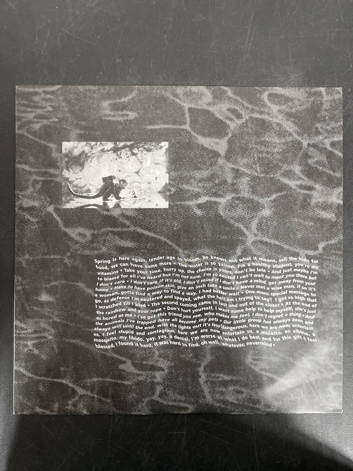 SLEEVE_1B - Nirvana - Nevermind LE 180gm Metallic Silver Vinyl USED NOT TESTED
