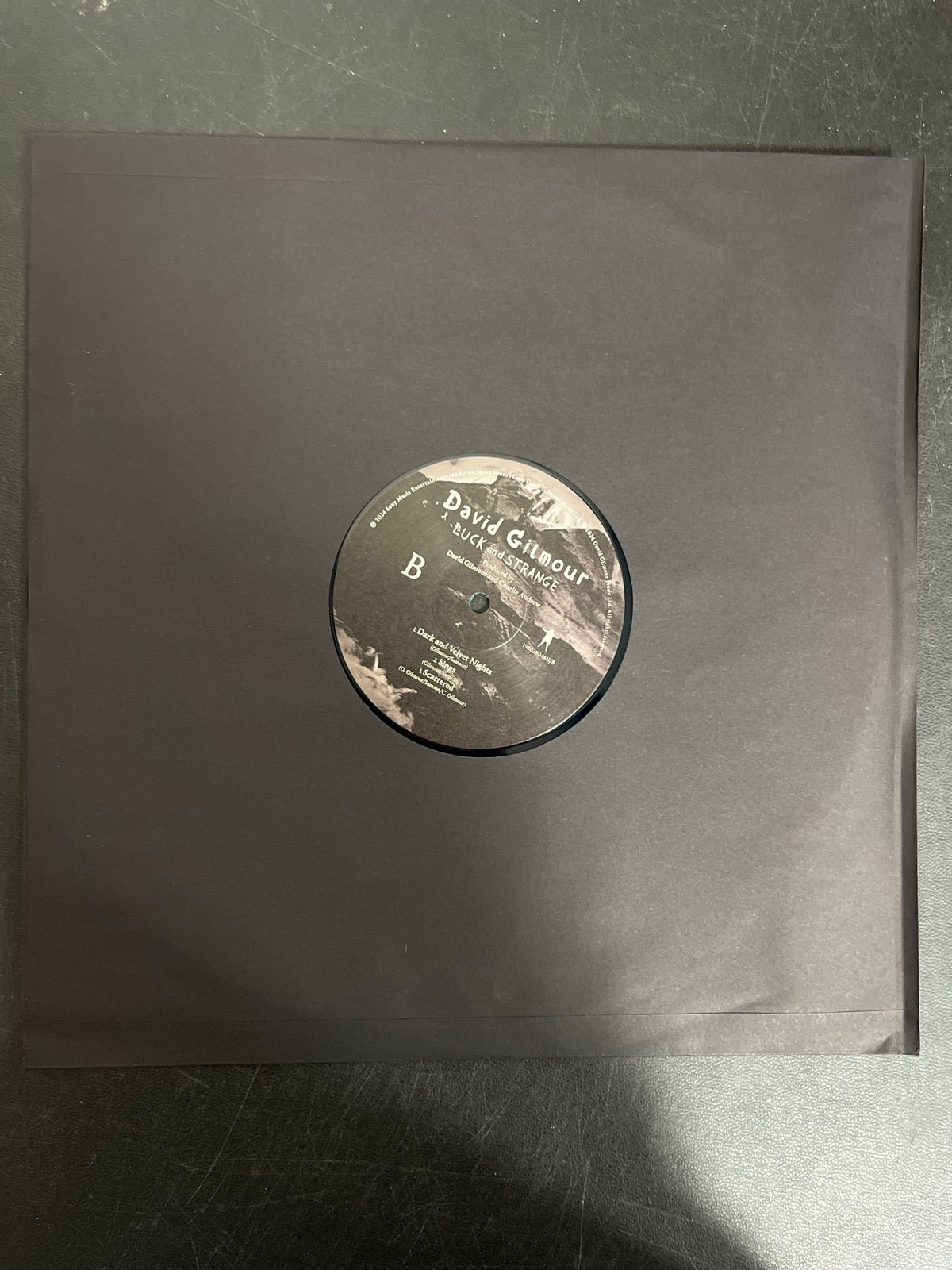 SLEEVE_1B - David Gilmour - Luck and S... Target Exclusive Blue Vinyl USED NOT TESTED