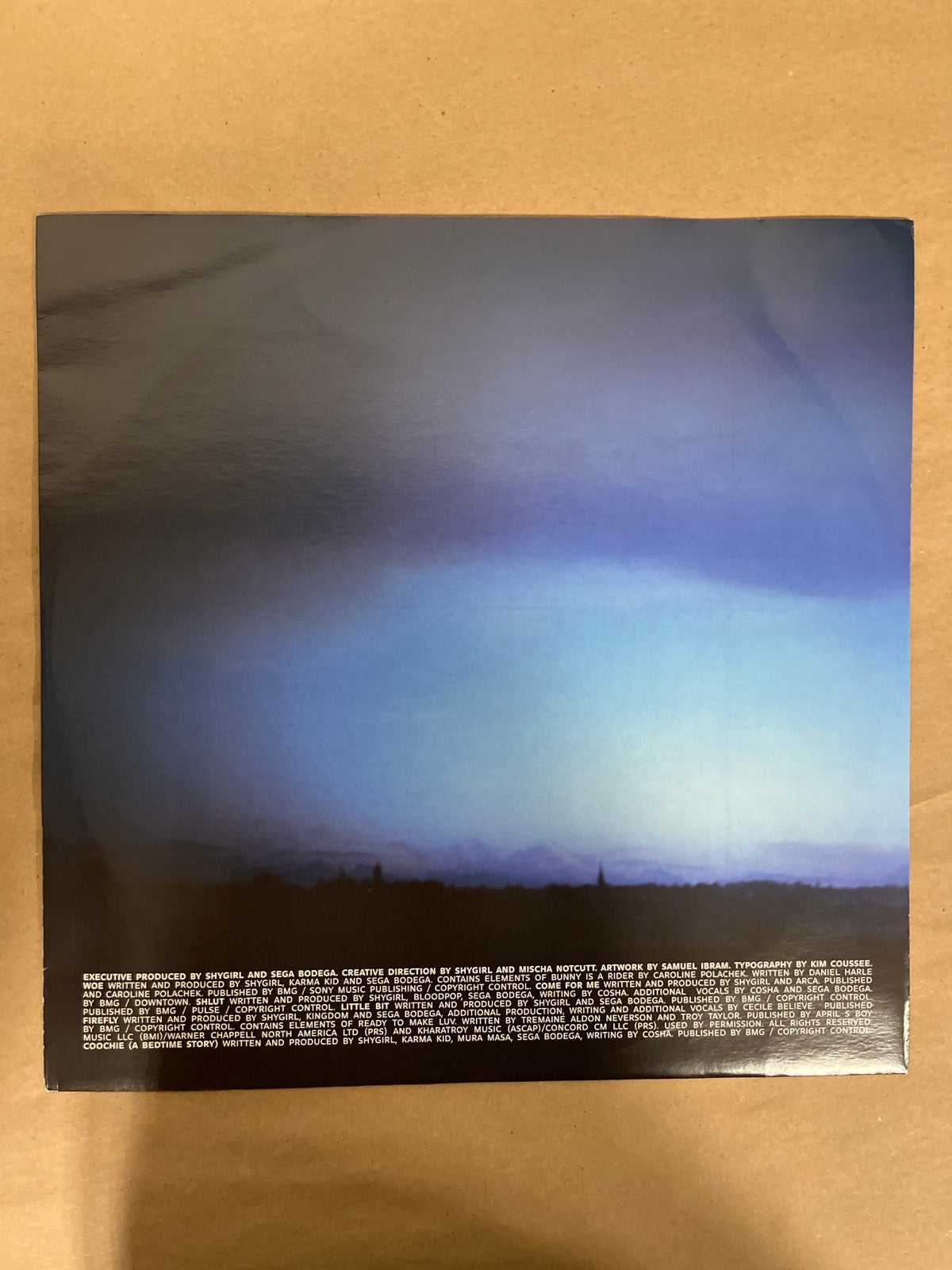 SLEEVE_1B - Shygirl - Nymph LE Vinyl USED NOT TESTED