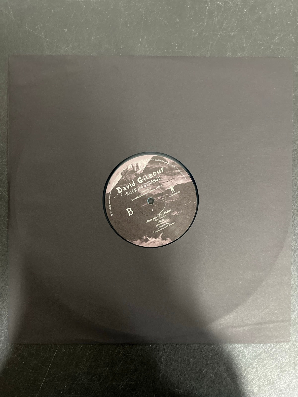 SLEEVE_1B - David Gilmour - Luck and S... Target Exclusive Blue Vinyl USED NOT TESTED