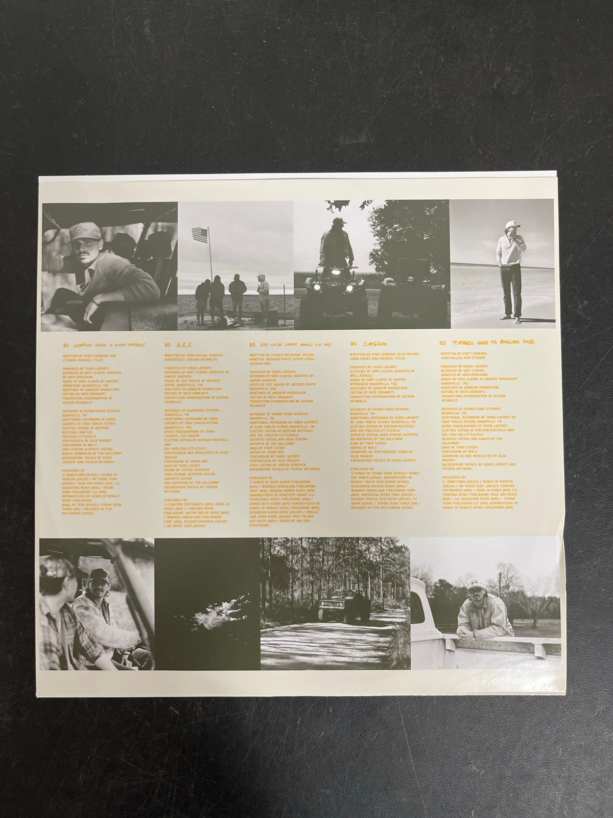 SLEEVE_1F - Tucker Wetmore - What Not To LE Brown Vinyl USED NOT TESTED