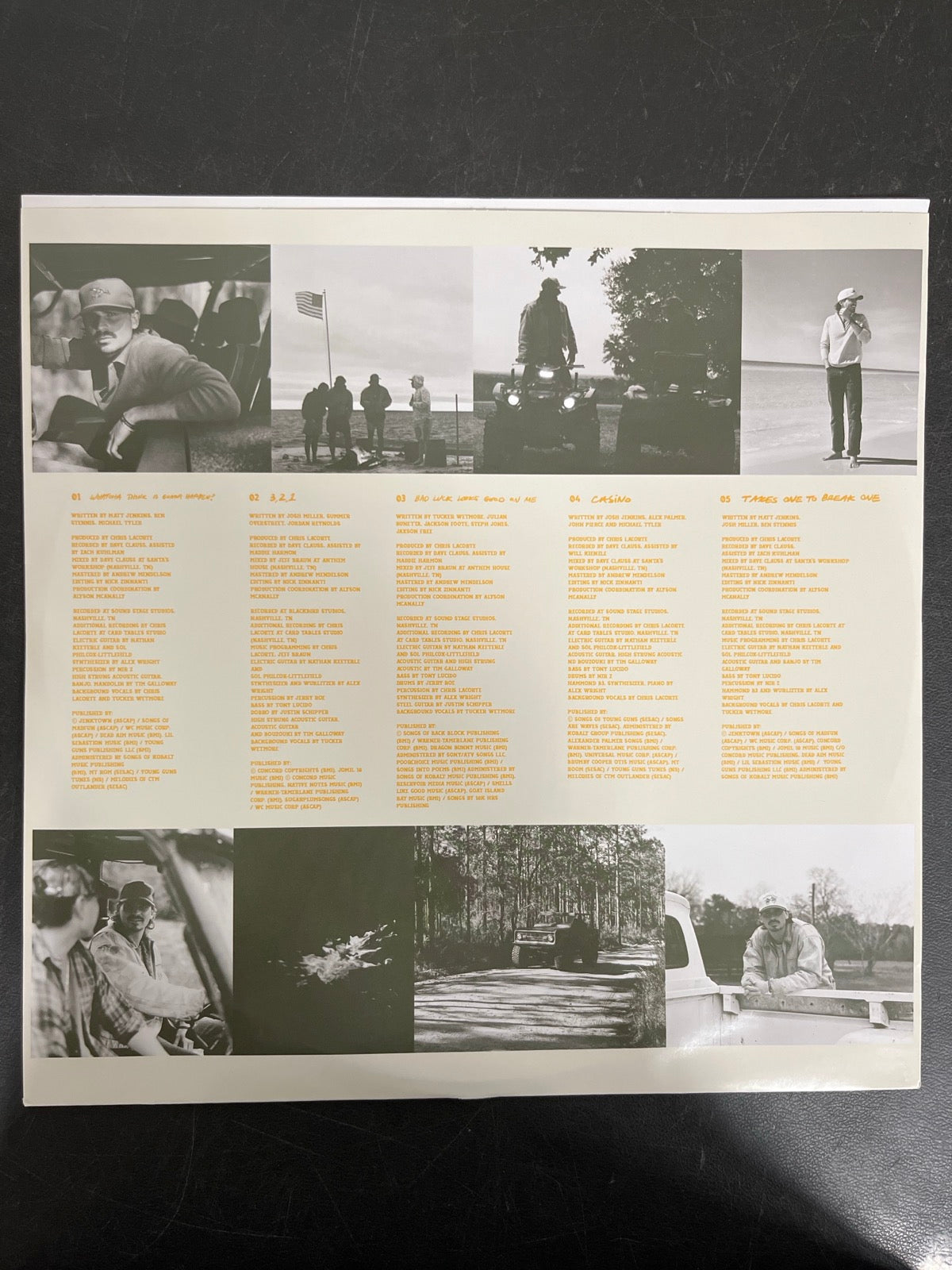 SLEEVE_1F - Tucker Wetmore - What Not To LE Brown Vinyl USED NOT TESTED