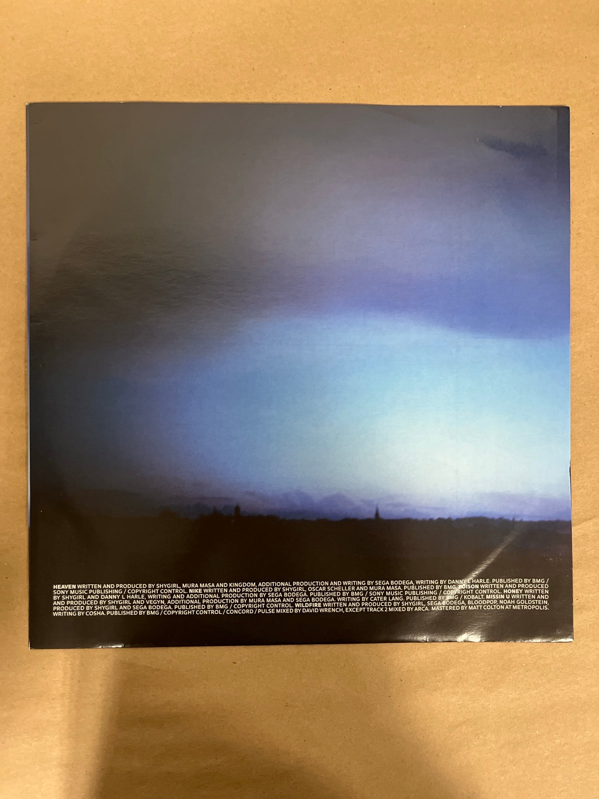 SLEEVE_1F - Shygirl - Nymph LE Vinyl USED NOT TESTED