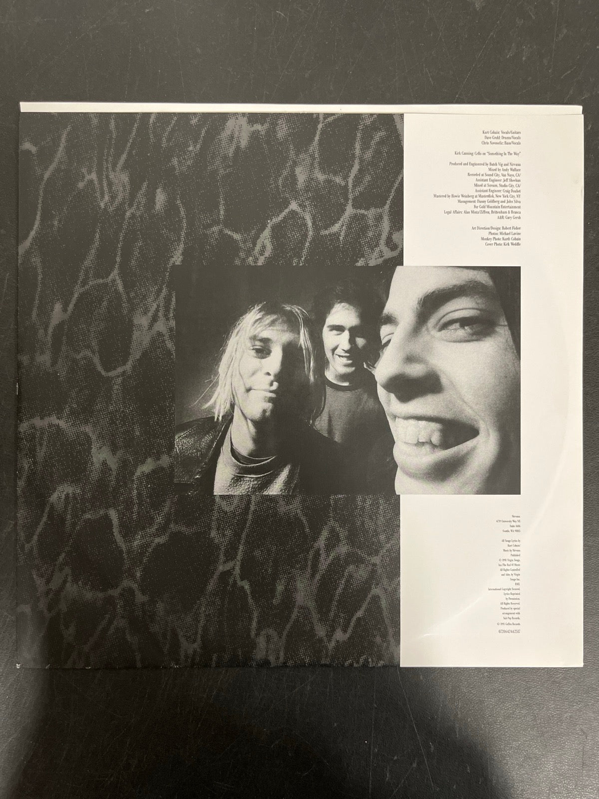 SLEEVE_1F - Nirvana - Nevermind LE 180gm Metallic Silver Vinyl USED NOT TESTED
