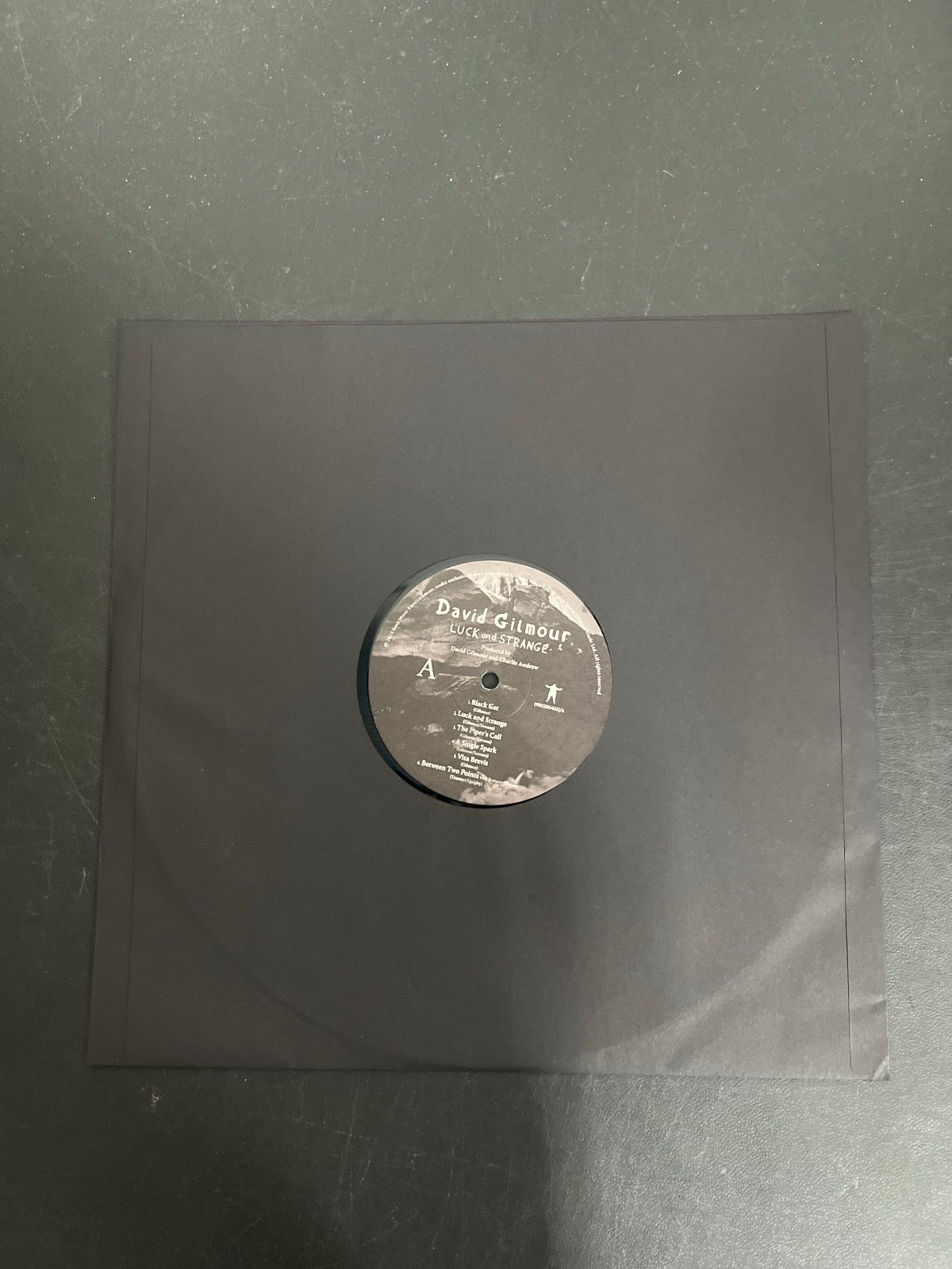SLEEVE_1F - David Gilmour - Luck and S... Target Exclusive Blue Vinyl USED NOT TESTED