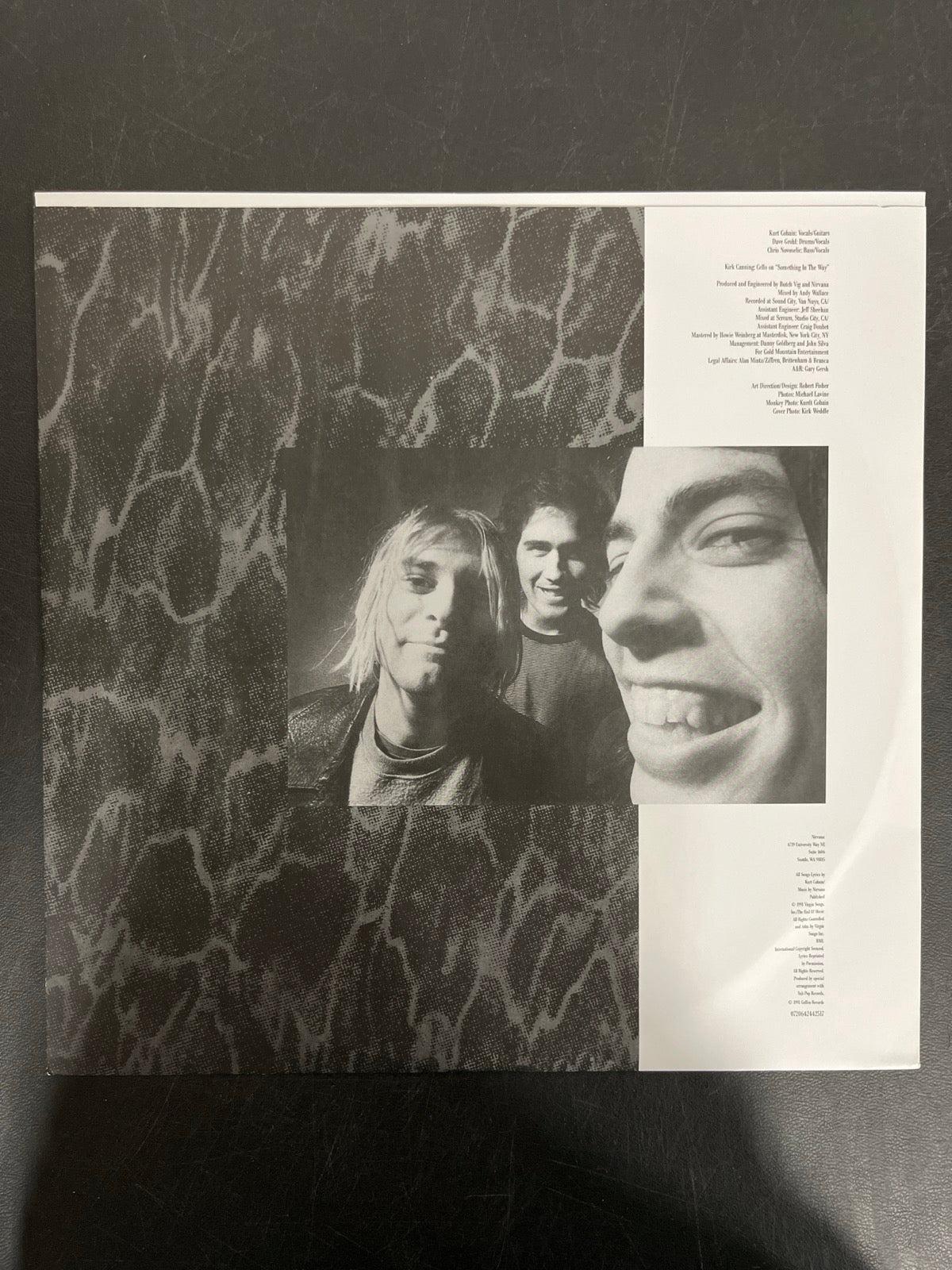 SLEEVE_1F - Nirvana - Nevermind LE 180gm Metallic Silver Vinyl USED NOT TESTED