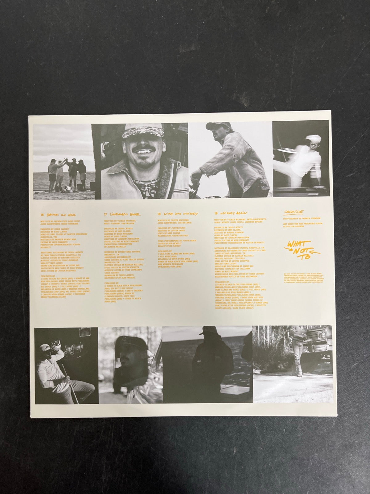 SLEEVE_2B - Tucker Wetmore - What Not To LE Brown Vinyl USED NOT TESTED
