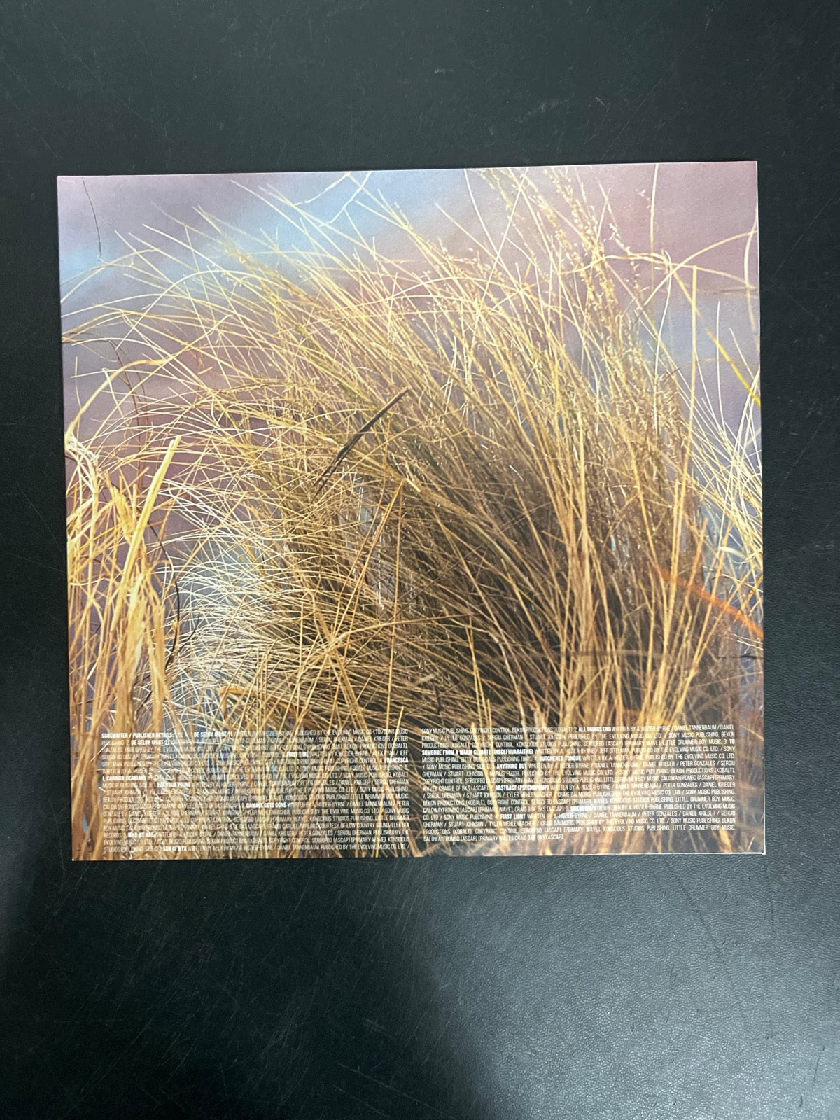 SLEEVE_2B - Hozier - Unreal Unearth Target Exclusive Vinyl USED NOT TESTED