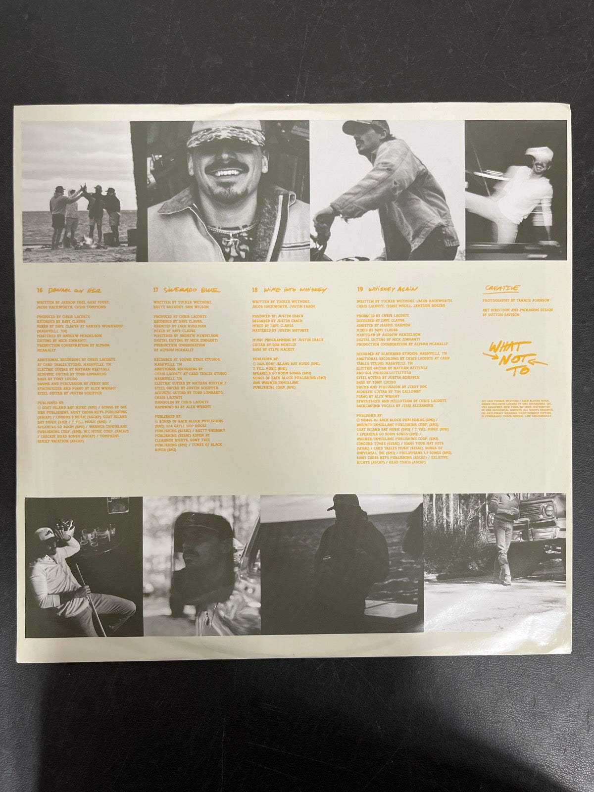 SLEEVE_2B - Tucker Wetmore - What Not To LE Brown Vinyl USED NOT TESTED
