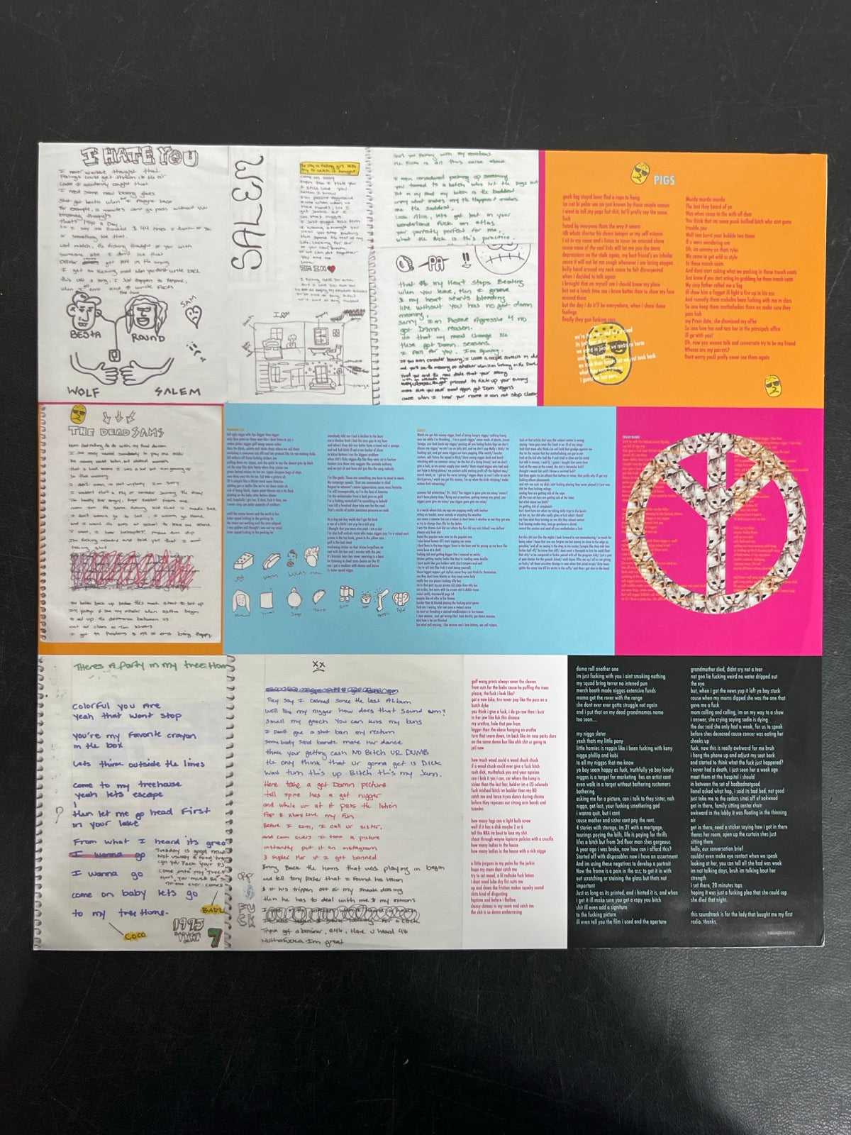SLEEVE_2B - Tyler, The Creator - Wolf LE Pink Vinyl USED NOT TESTED