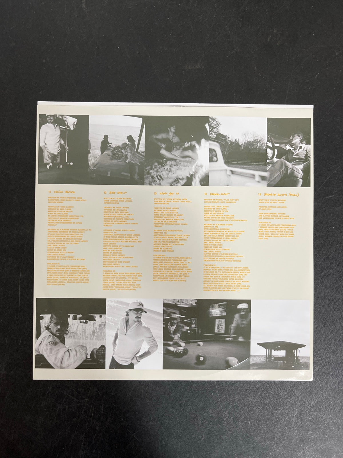 SLEEVE_2F - Tucker Wetmore - What Not To LE Brown Vinyl USED NOT TESTED