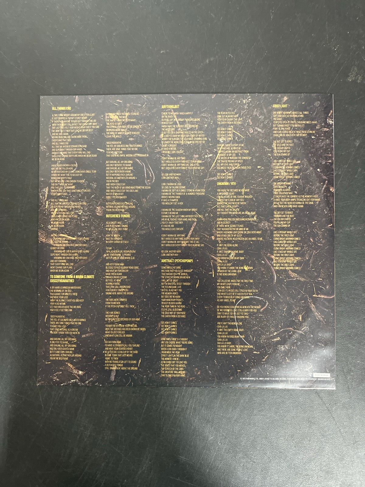 SLEEVE_2F - Hozier - Unreal Unearth Target Exclusive Vinyl USED NOT TESTED