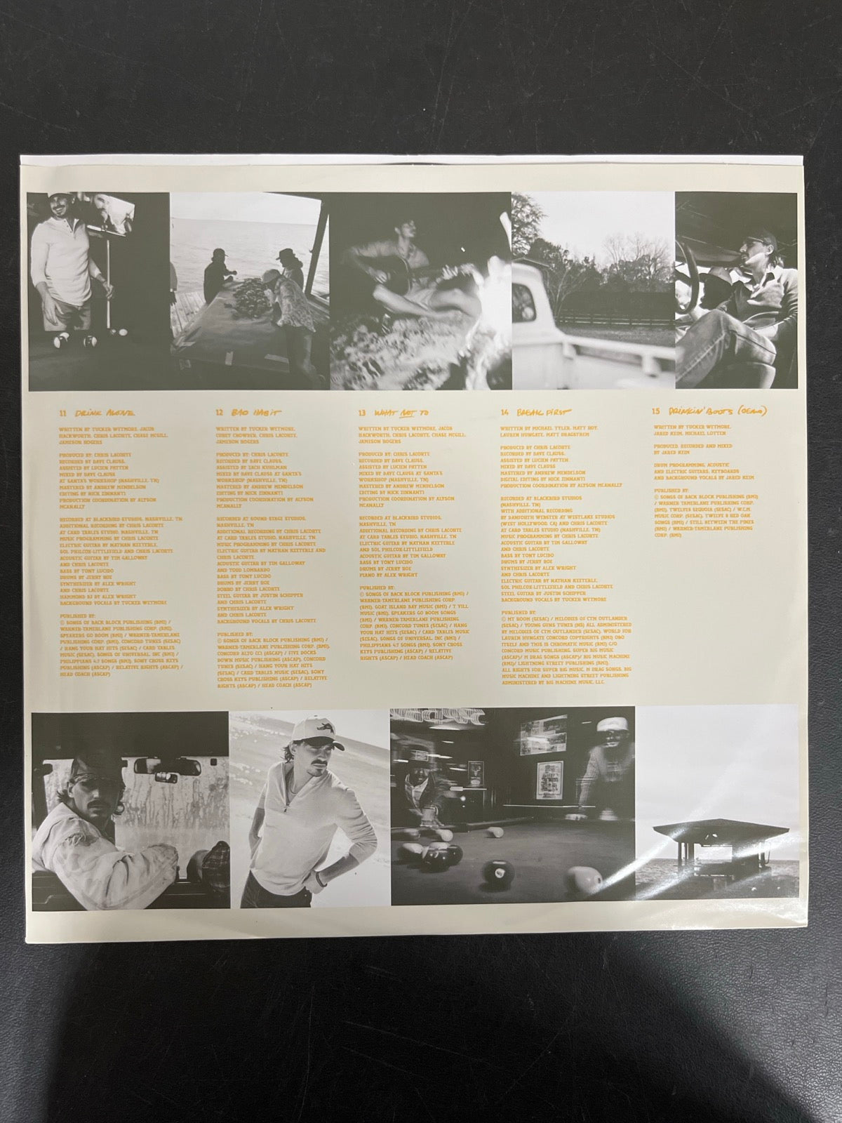 SLEEVE_2F - Tucker Wetmore - What Not To LE Brown Vinyl USED NOT TESTED