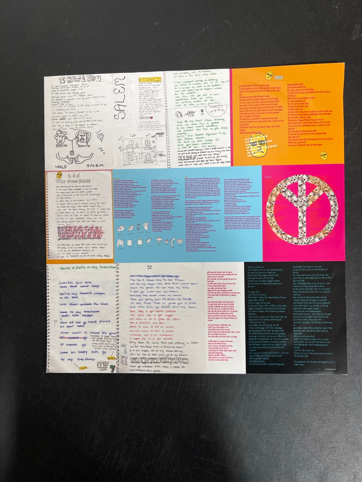 SLEEVE_2F - Tyler, The Creator - Wolf LE Pink Vinyl USED NOT TESTED