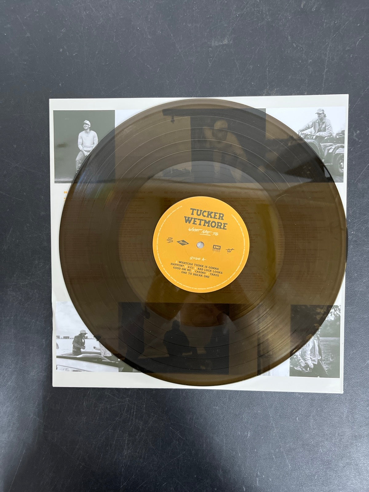 VINYL_1A - Tucker Wetmore - What Not To LE Brown Vinyl USED NOT TESTED