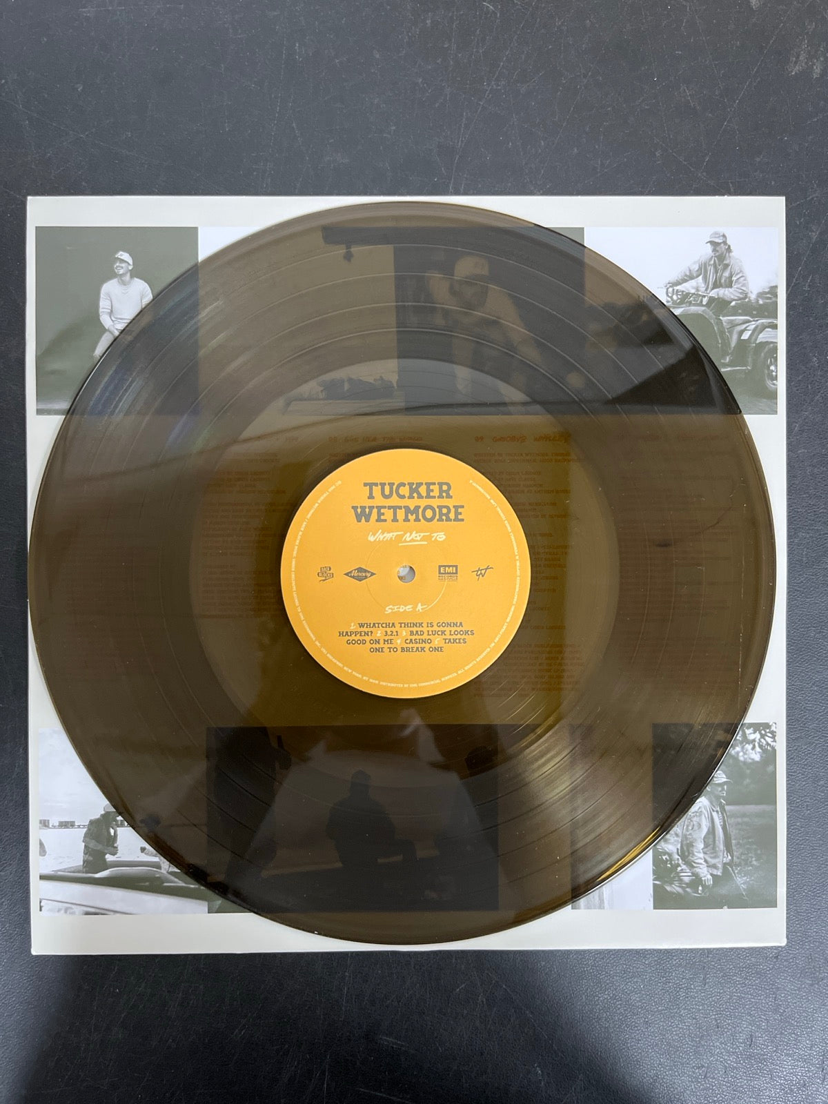 VINYL_1A - Tucker Wetmore - What Not To LE Brown Vinyl USED NOT TESTED