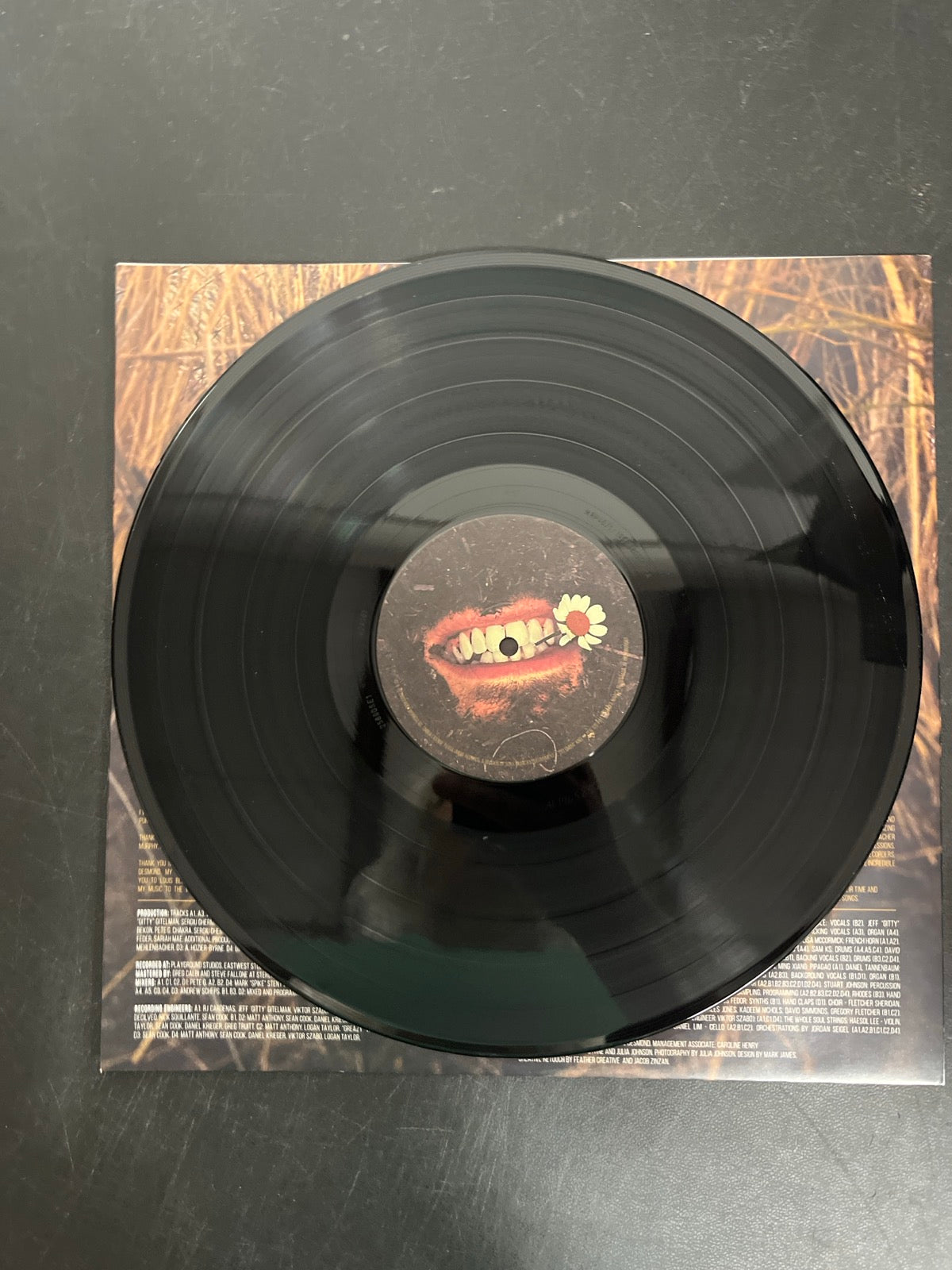 VINYL_1A - Hozier - Unreal Unearth Target Exclusive Vinyl USED NOT TESTED
