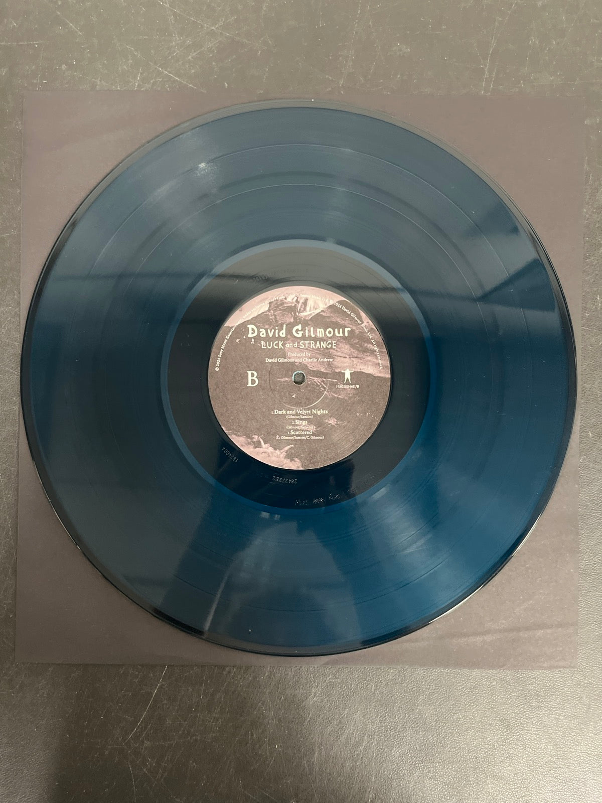 VINYL_1B - David Gilmour - Luck and S... Target Exclusive Blue Vinyl USED NOT TESTED