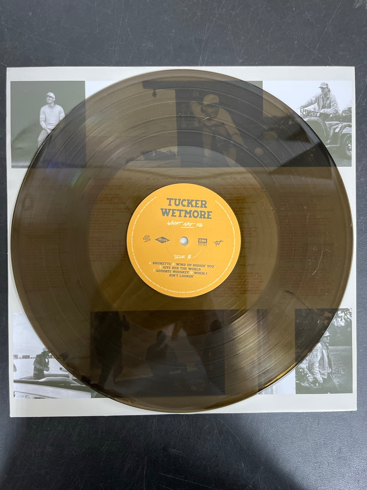 VINYL_1B - Tucker Wetmore - What Not To LE Brown Vinyl USED NOT TESTED