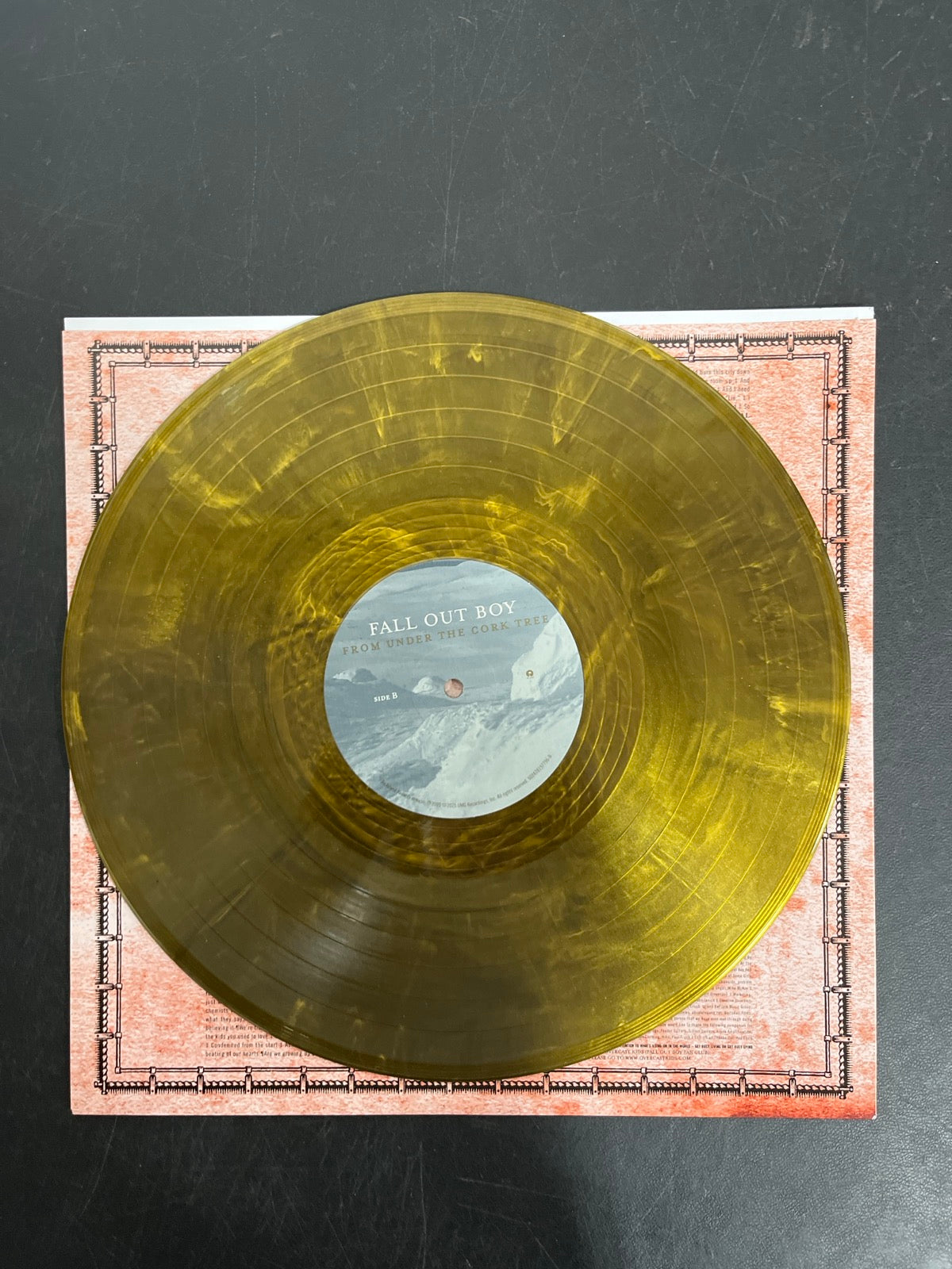 VINYL_1B - Fall Out Boy - From Under The ... LE Gold / Black Vinyl USED NOT TESTED