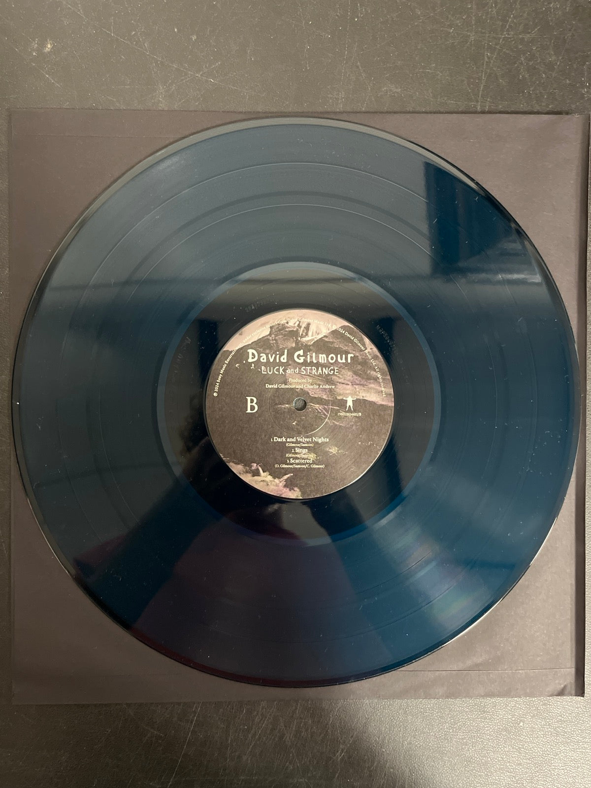 VINYL_1B - David Gilmour - Luck and S... Target Exclusive Blue Vinyl USED NOT TESTED