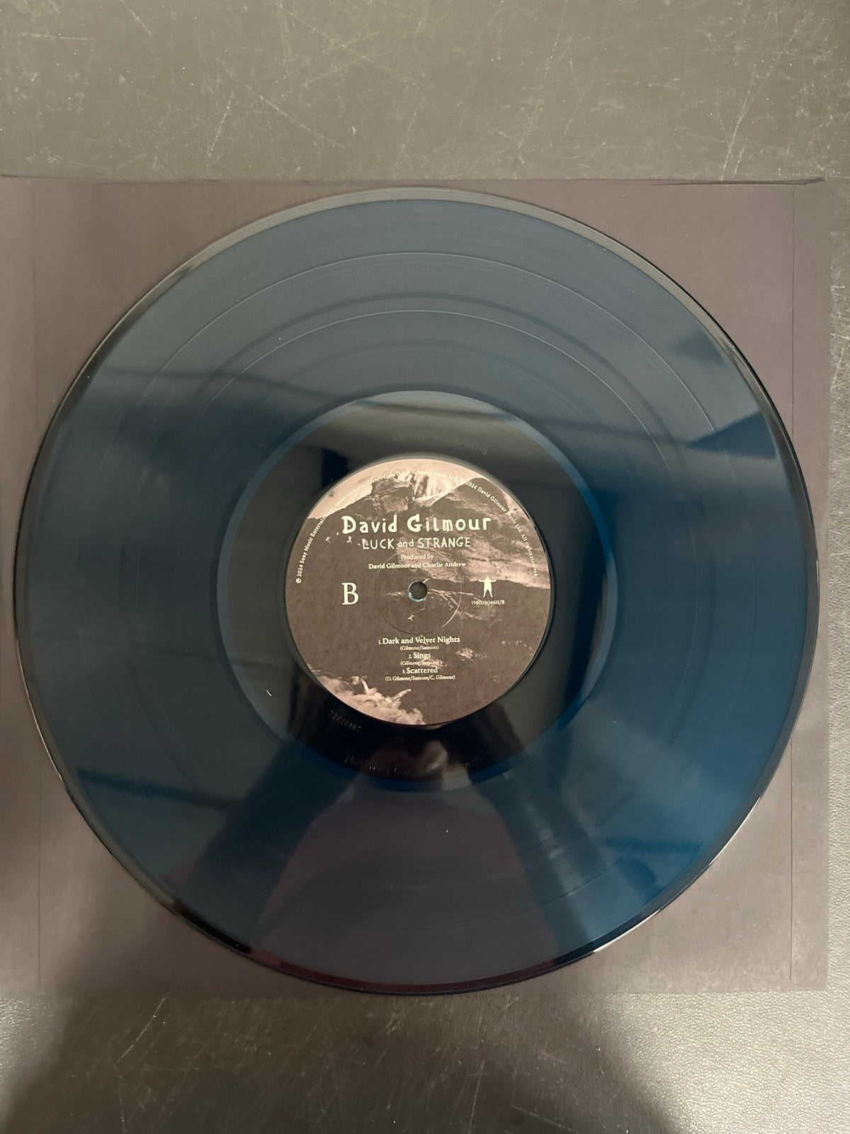 VINYL_1B - David Gilmour - Luck and S... Target Exclusive Blue Vinyl USED NOT TESTED