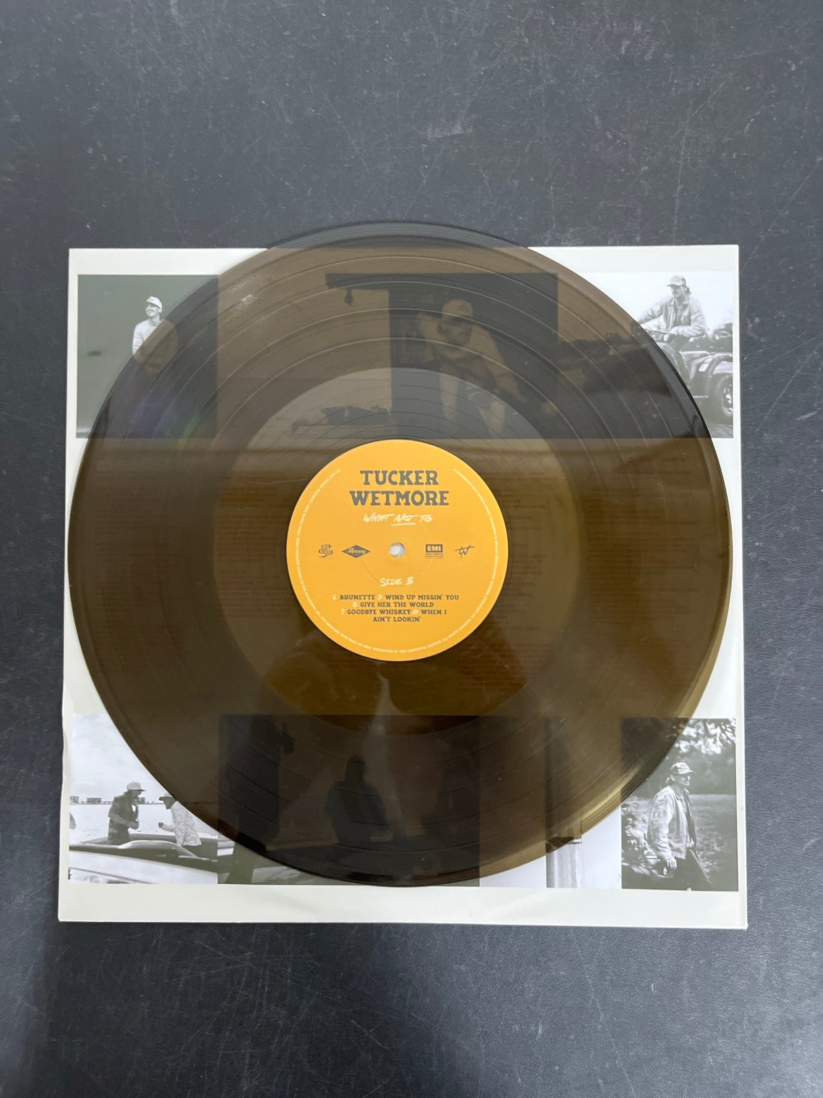 VINYL_1B - Tucker Wetmore - What Not To LE Brown Vinyl USED NOT TESTED