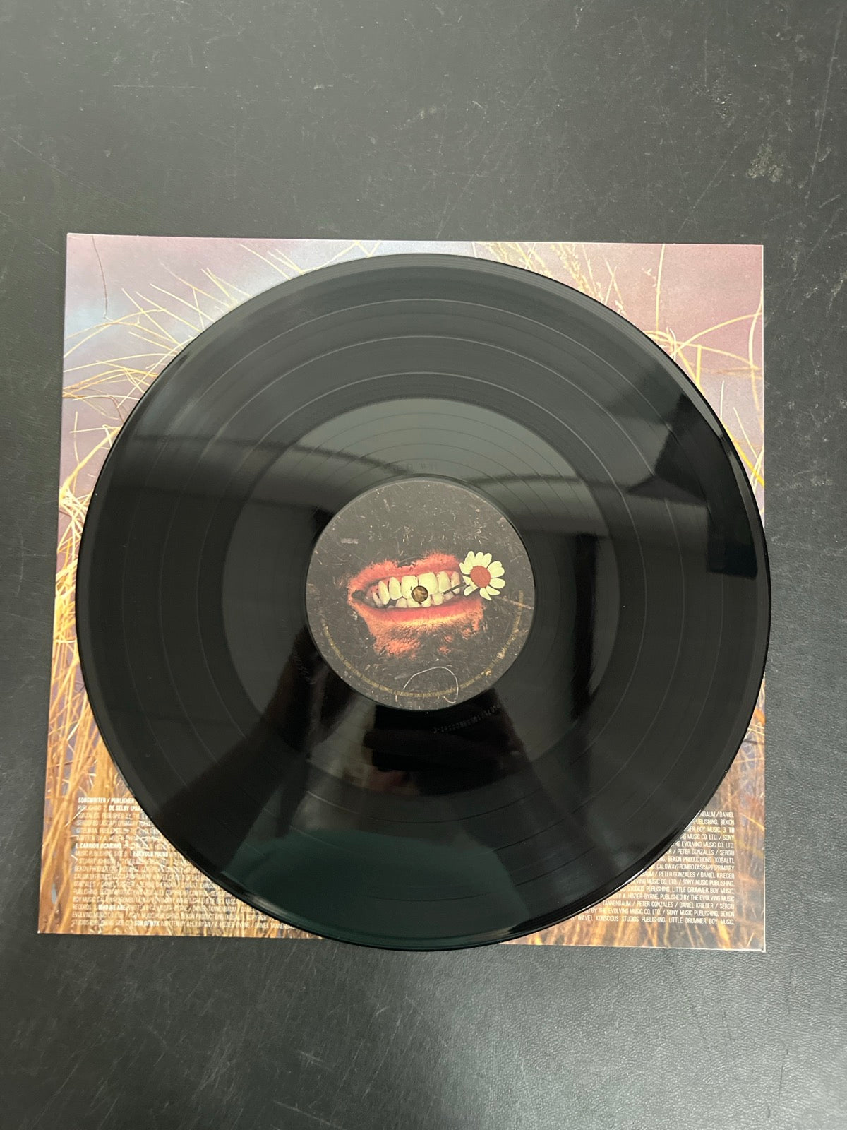 VINYL_2C - Hozier - Unreal Unearth Target Exclusive Vinyl USED NOT TESTED