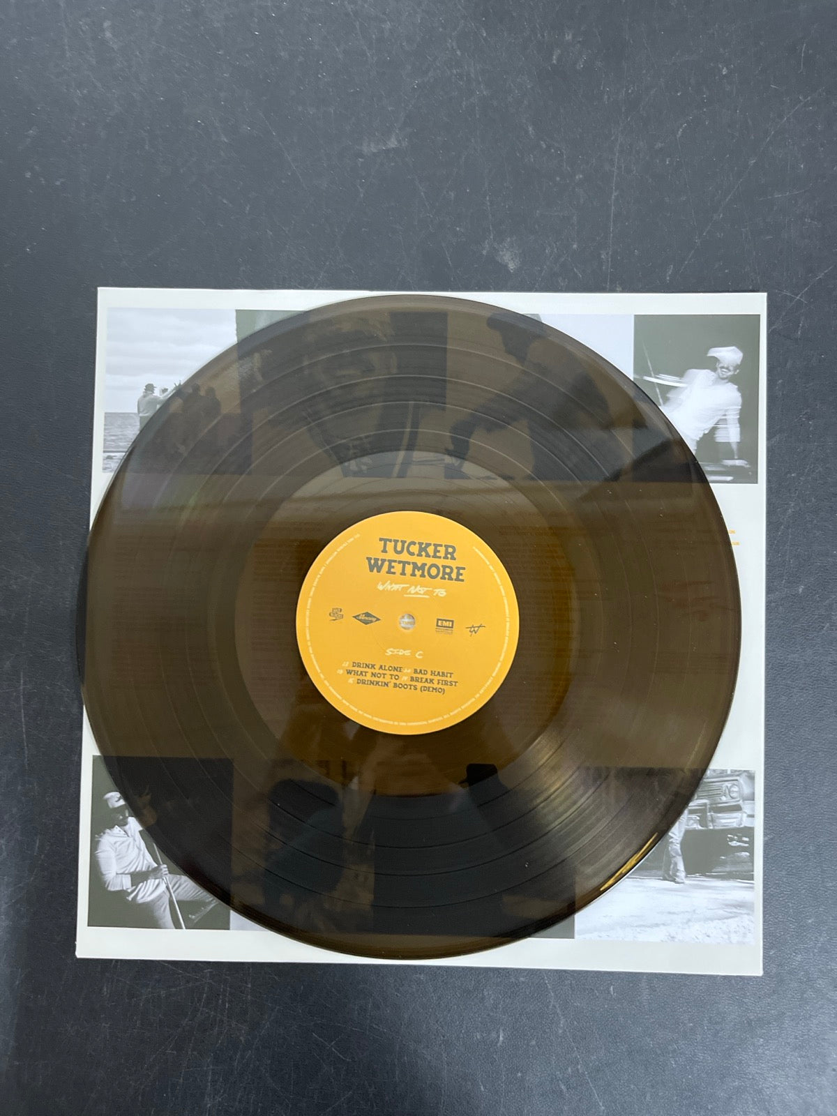 VINYL_2C - Tucker Wetmore - What Not To LE Brown Vinyl USED NOT TESTED