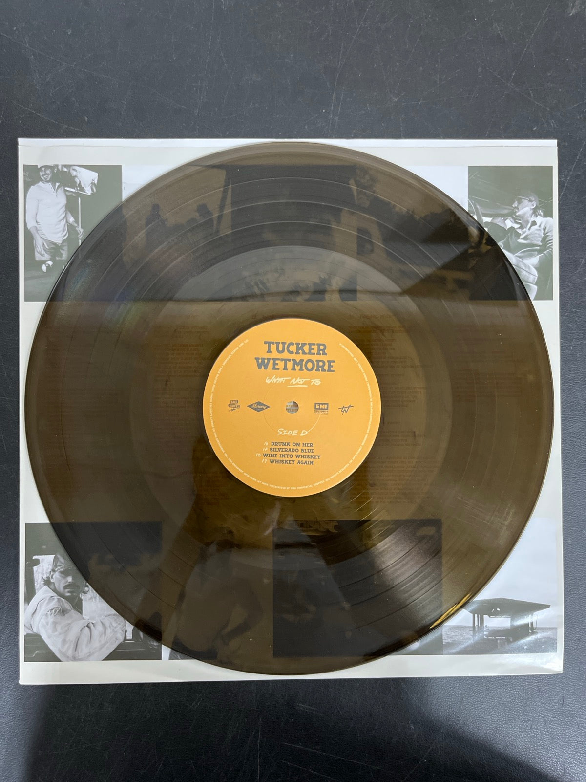 VINYL_2D - Tucker Wetmore - What Not To LE Brown Vinyl USED NOT TESTED